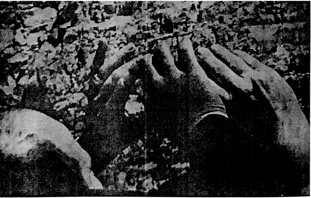 A black and white image of four hands holding a phone pointed to the rocks at the site of Lot’s wife near Gwar Al Safi in Jordan.