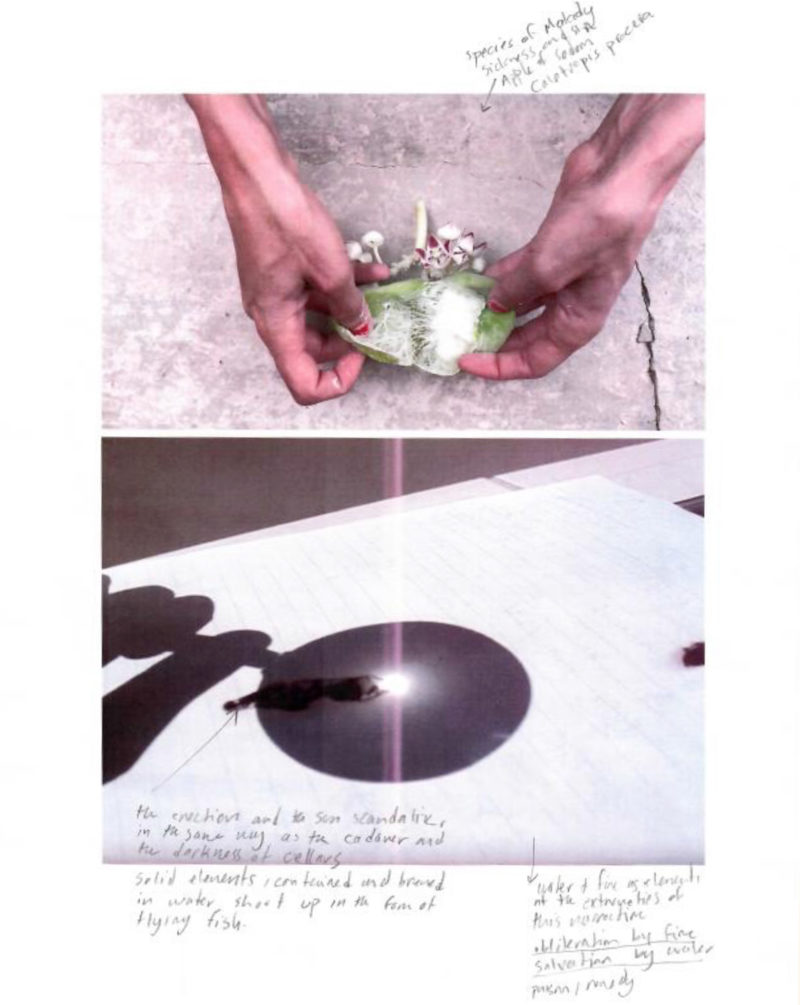 A mix of images and text on an A4 white paper. On the top there is an image of hands holding a fruit with some handwritten text next to it in black pencil. On the bottom there is an image of a magnifying glass.