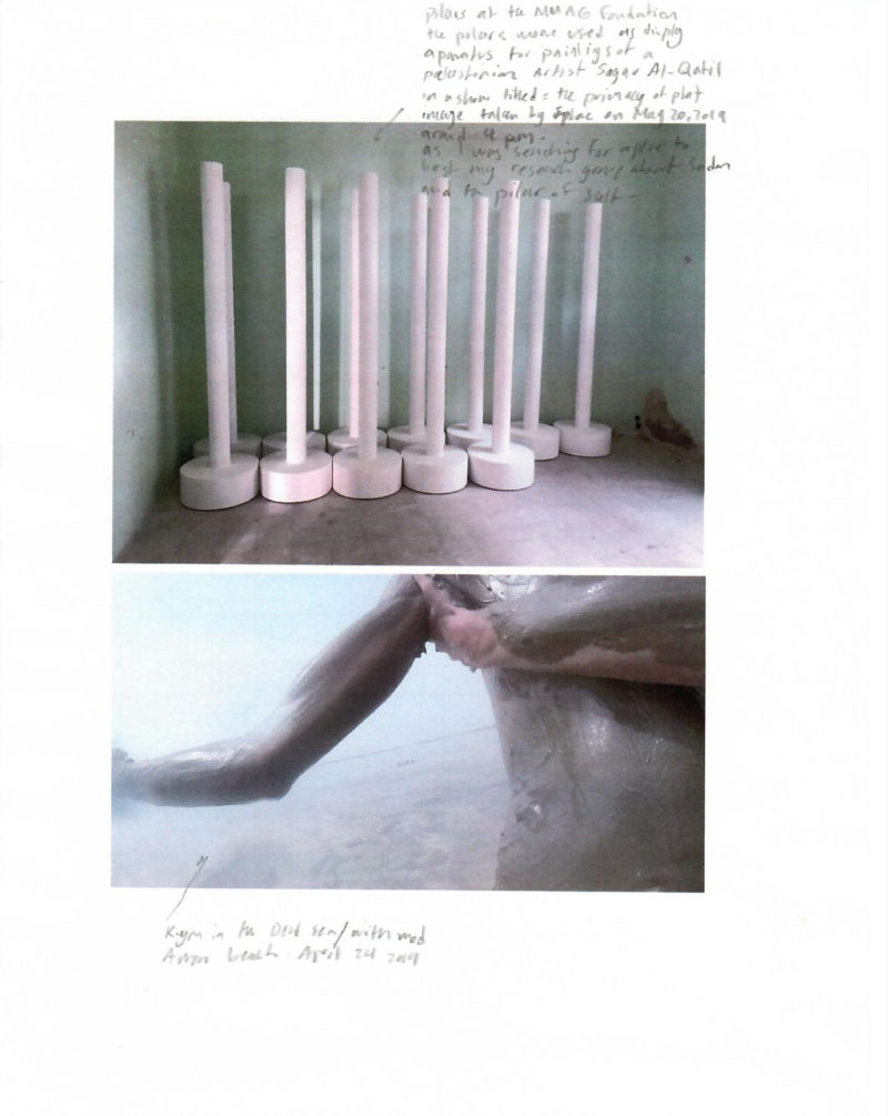 A mix of images and text on an A4 white paper. On the top there is an image of 12 free-standing white pillars in a green room with some handwritten text next to it in black pencil. On the bottom there is an image of a man's arm and waist covered in mud.
